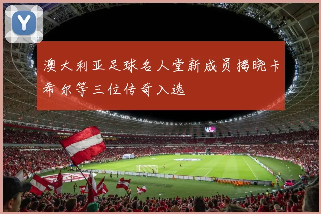 澳大利亚足球名人堂新成员揭晓卡希尔等三位传奇入选